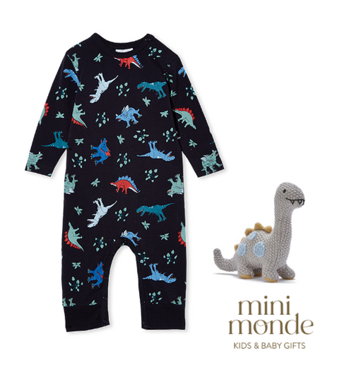 Baby Boy Giftset - Dino & Friends