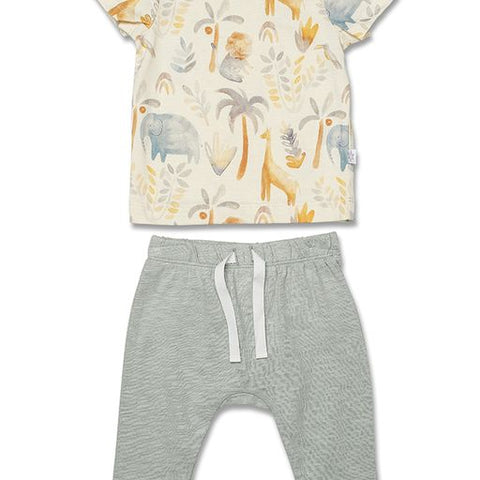 Marquise Boys Safari Tee & Leggings Set