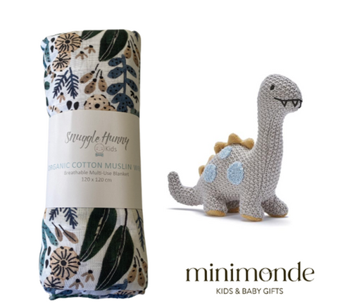 Baby Boy Swaddle Gift - Dino Trek